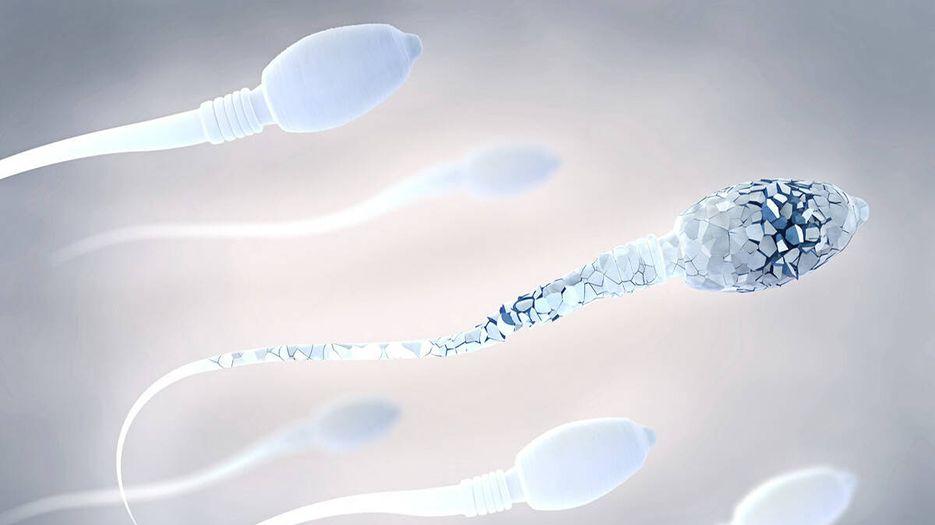 2023年郑州靠谱的助孕医院有哪些供卵助孕费用及排队时间揭晓