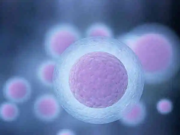 郑州试管包生男孩医院排名附供卵试管助孕机构名单一览